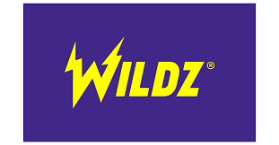 Wildz Review 2026 – Is It Safe for NZ Players?
