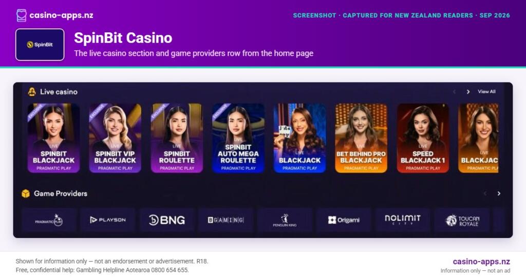 SpinBit Casino home page section showing what the casino offers, captured for New Zealand players (September 2026)