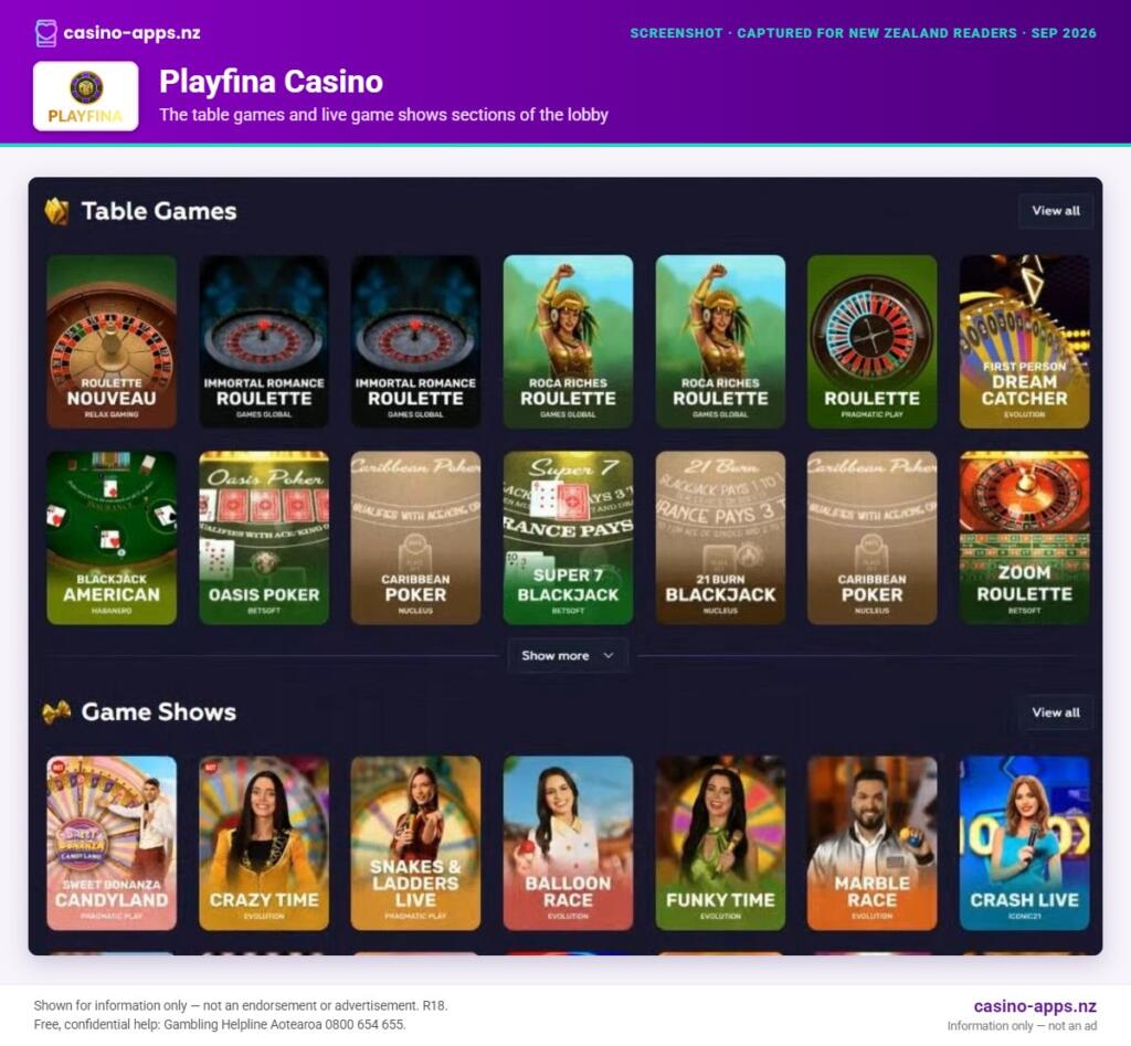 Playfina Casino home page section showing what the casino offers, captured for New Zealand players (September 2026)